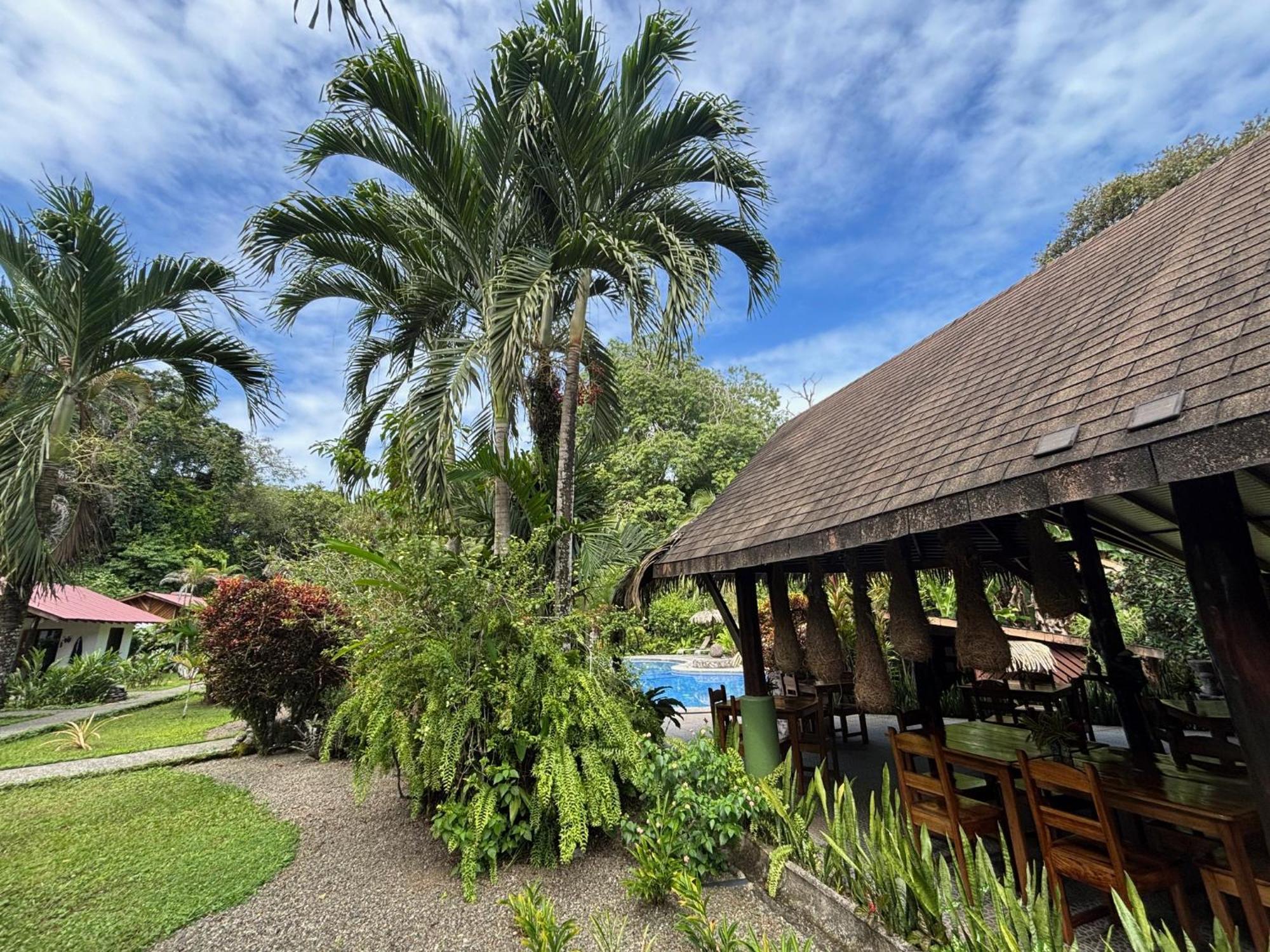Hotel Suizo Loco Lodge&Resort Cahuita Exterior foto