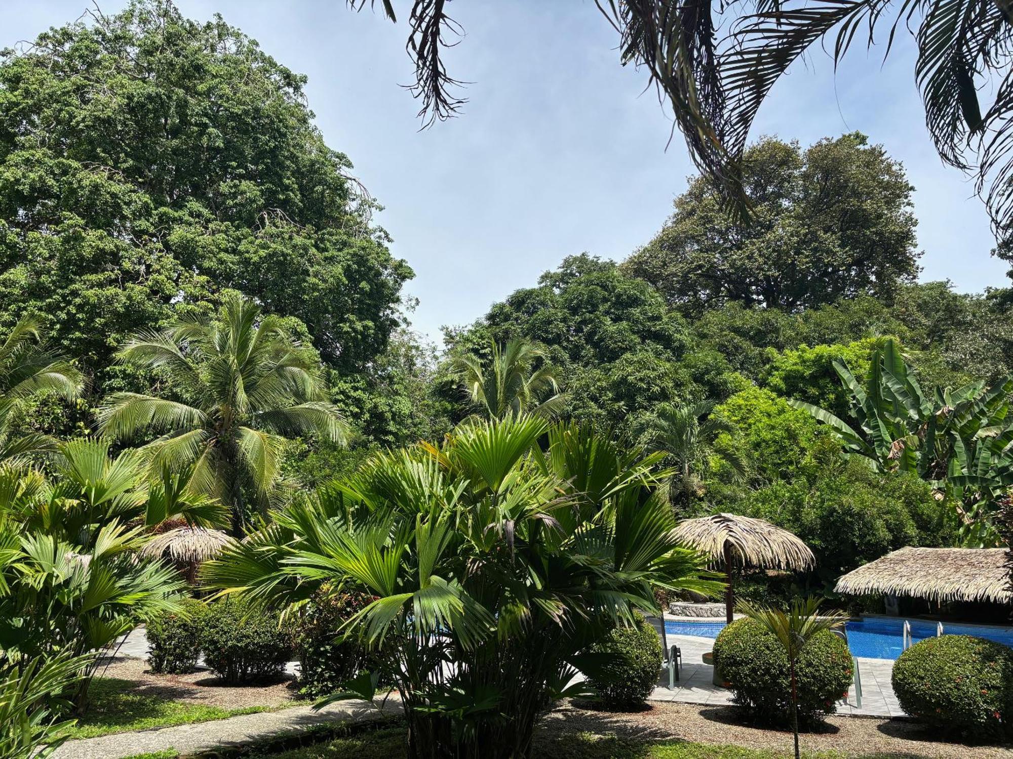 Hotel Suizo Loco Lodge&Resort Cahuita Exterior foto